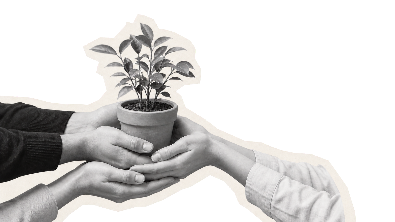 複数の手で植物を支える様子